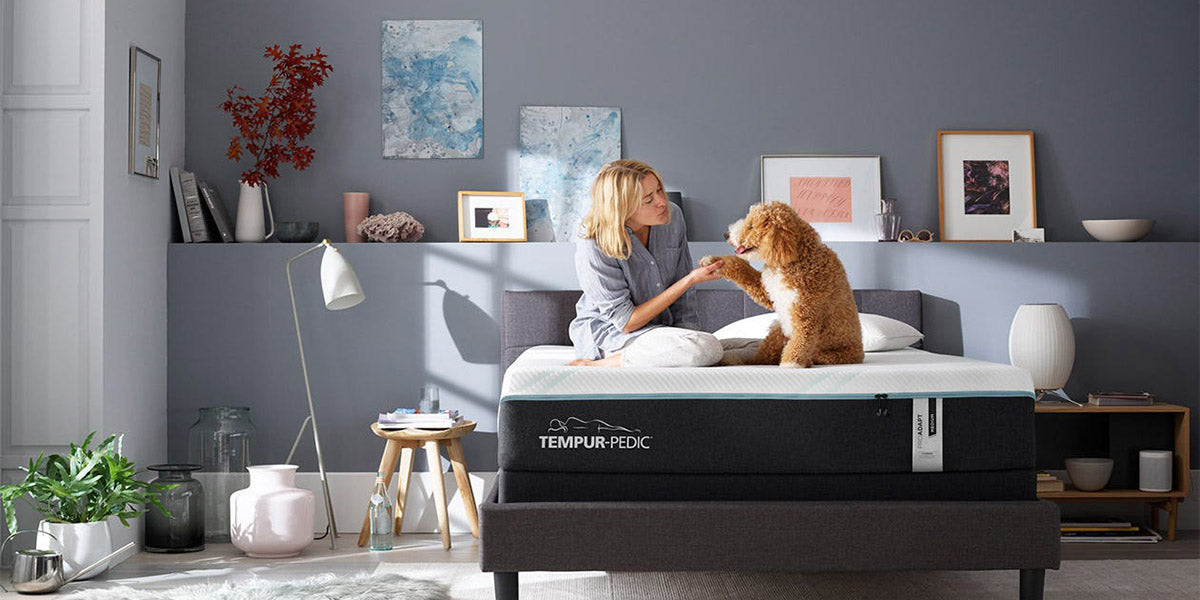 Woman sitting with her golden doodle dog on a Pro Adapt mattress in a gray room artistically decorated