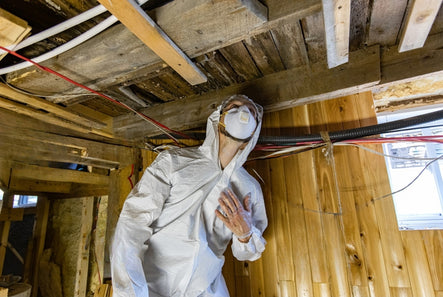 Mold Remediation