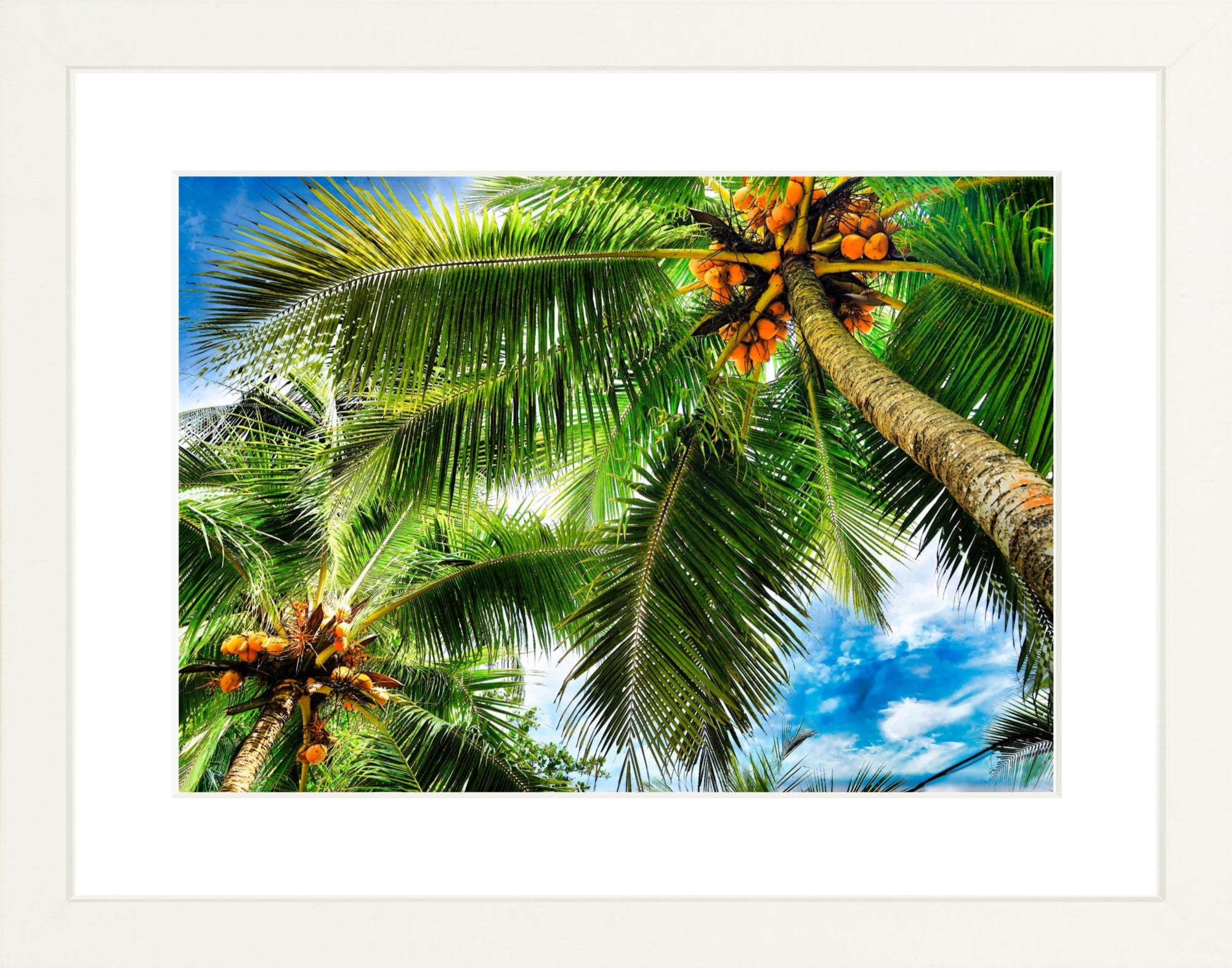 Fine Art Framed Prints: With or Without Mat