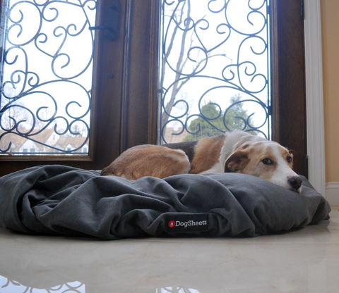 mydogslog DogSheetz waterproof dog bed cover model