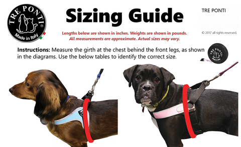 How to measure for a Tre Ponti Dog Harness