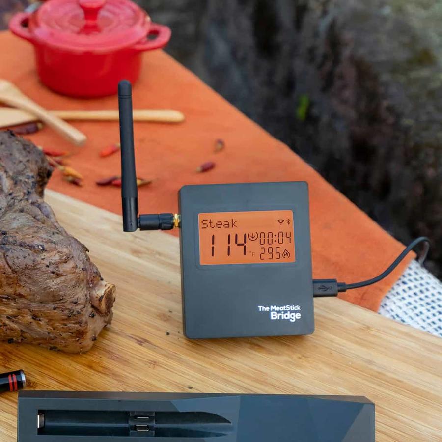 Upgrade Your Grilling Game with the MeatStick 4X Wireless Thermometer - Dad  Logic