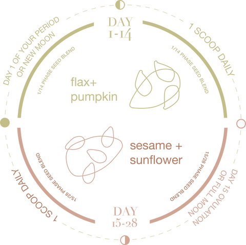 infographic how to seed cycle with your menstrual cycle and the moon phases