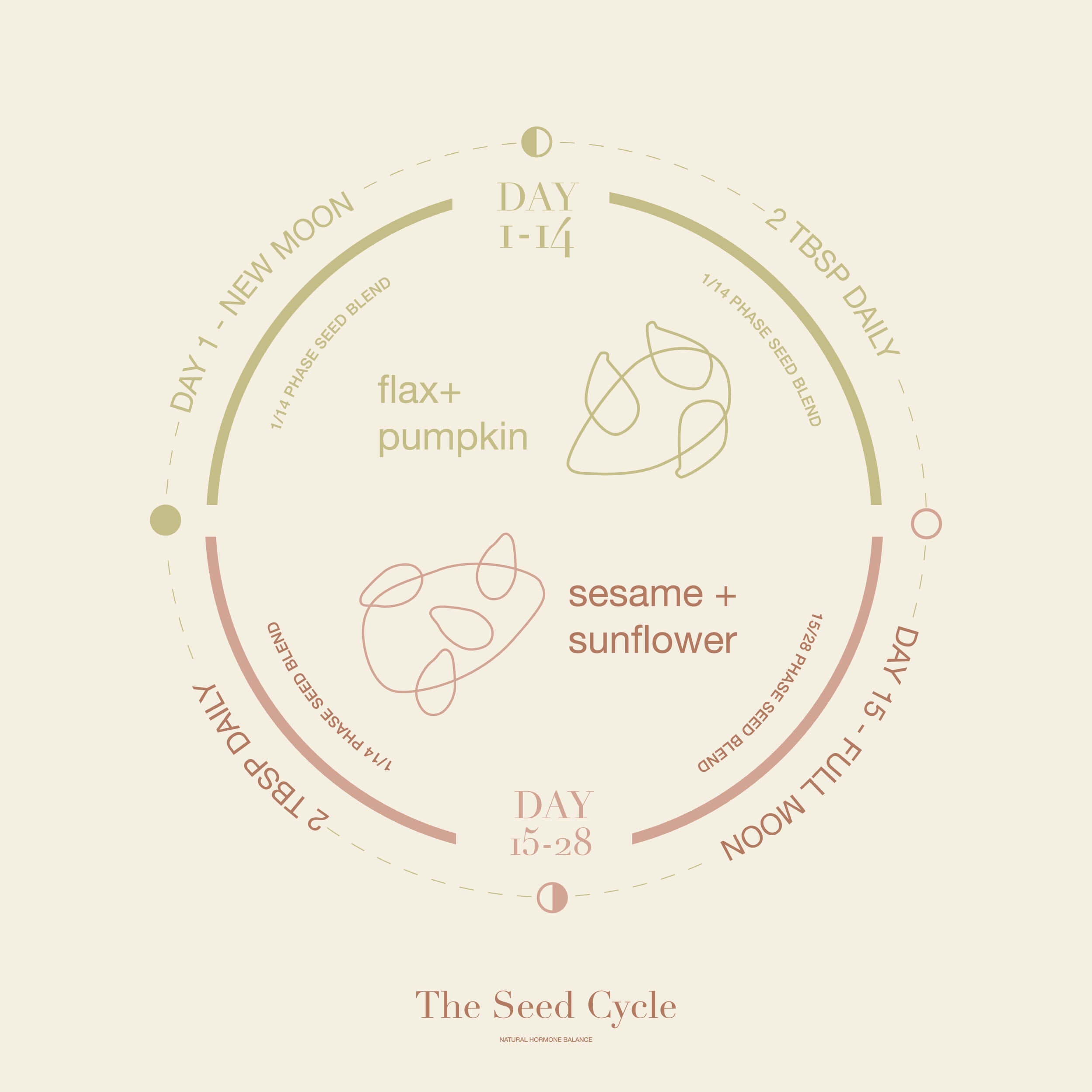The-Seed-Cycle-Infographic