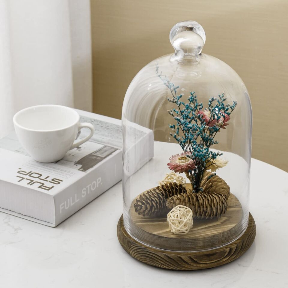 10-inch Glass Dome Bell Jar Cloche Display Case w/ 2 Tone Solid Burnt Wood Base