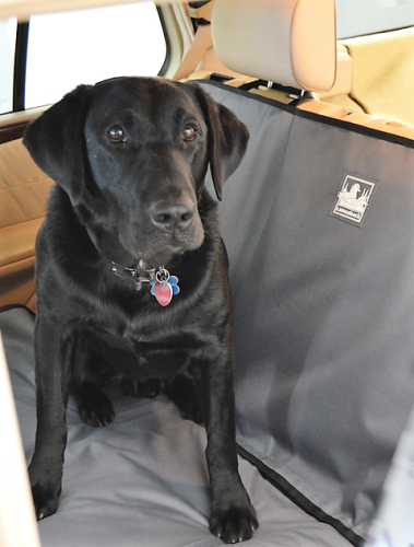 Meadowlark Bench Seat Protector for Pets