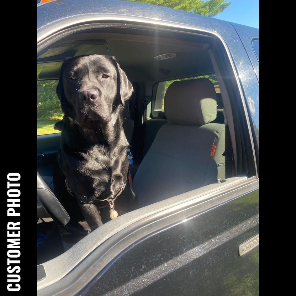 black lab sitting in the driver's seat in a truck that has tigertough seat covers