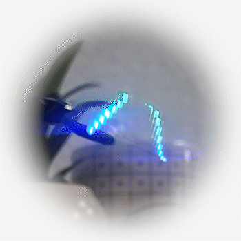 Wavelit