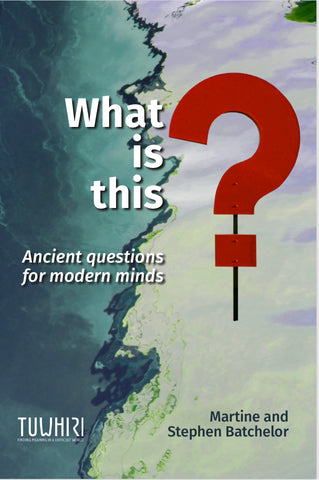 What is this? by Martine and Stephen Batchelor front cover