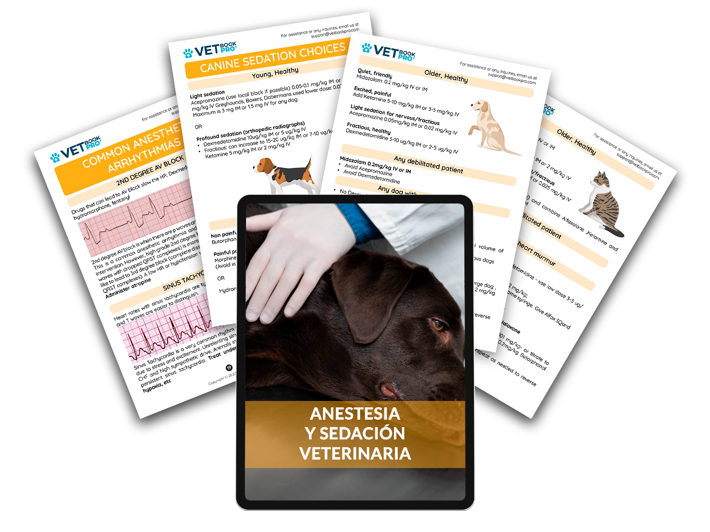 Anestesia-i-sedacion-veterinaria.png__PID:26d39ba6-b291-4621-becd-565b98059389