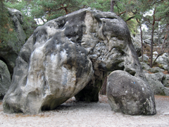 L'Elephant, Fontainebleau
