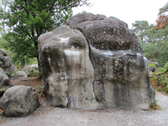 Cortomaltese, Fontainebleau