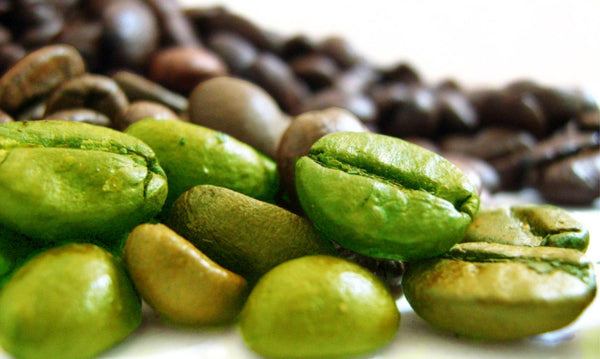 benefits green coffee bean