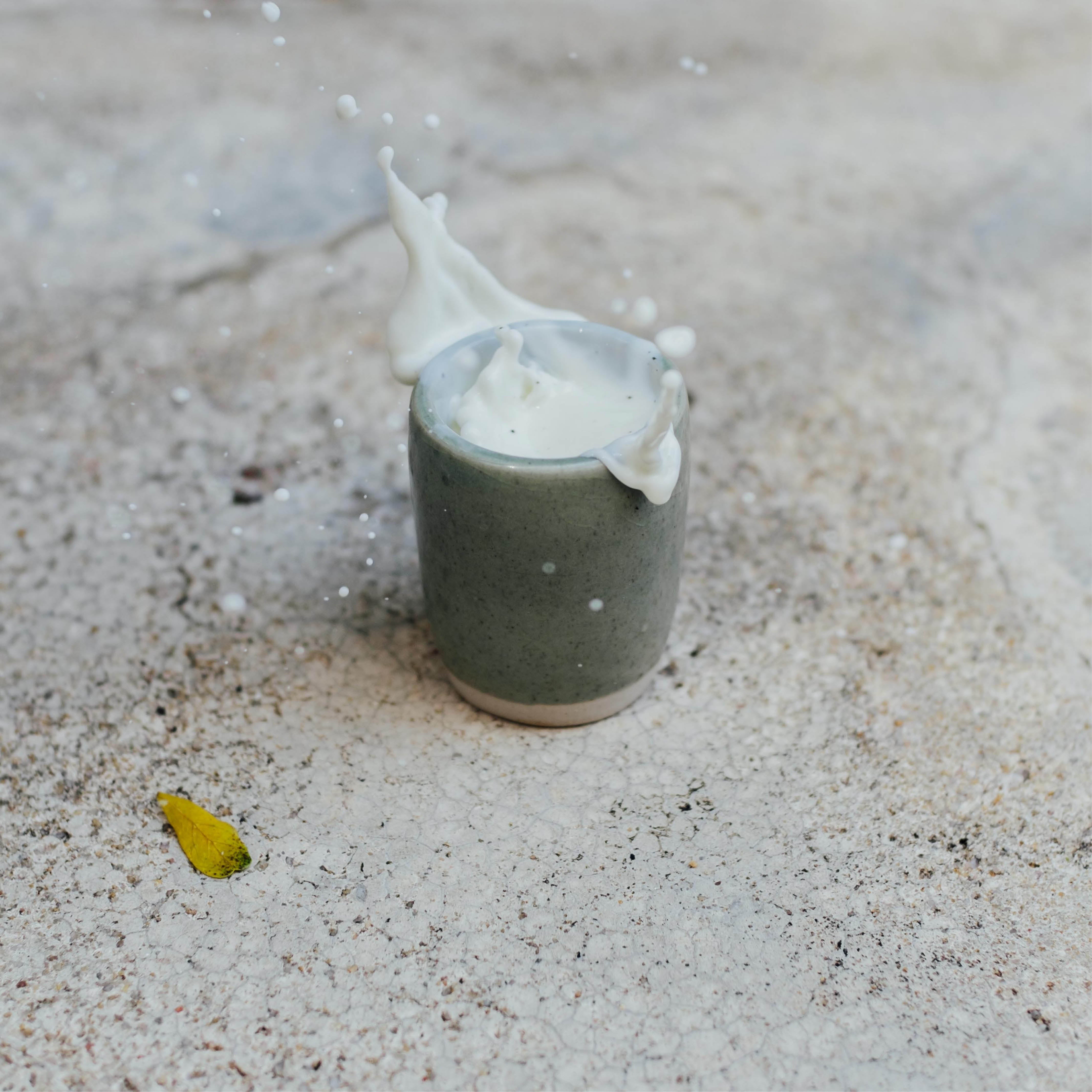 the deal with dairy and lactose intolerance
