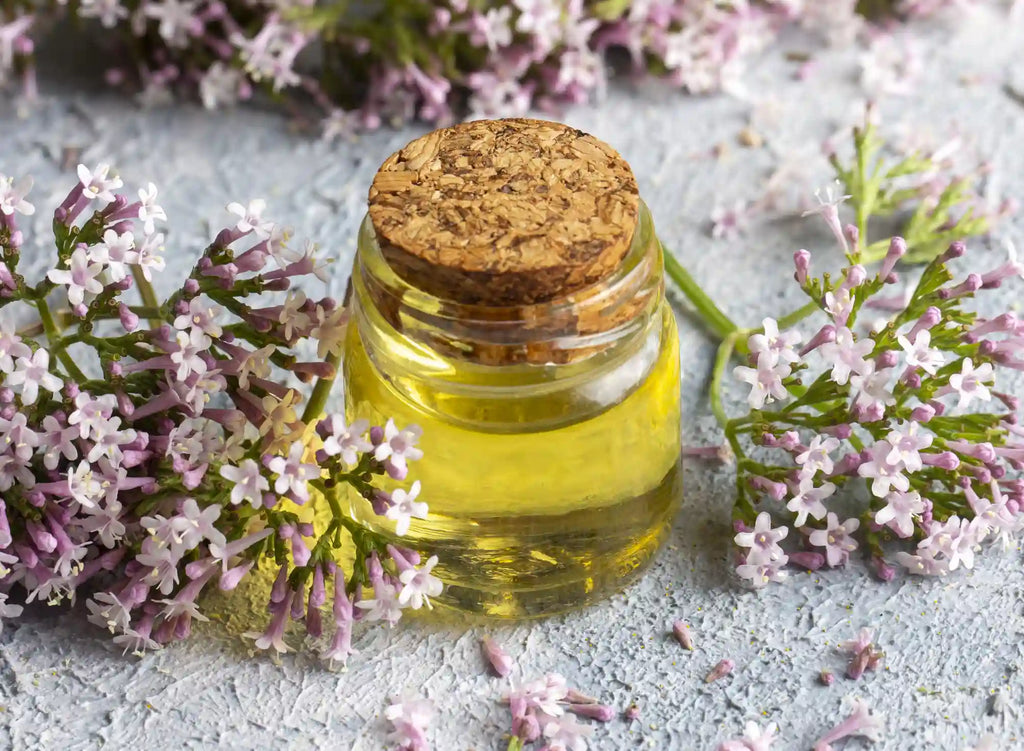bottle of essential oil with blossoming valeriana