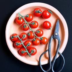 cherry tomatoes plate scissors