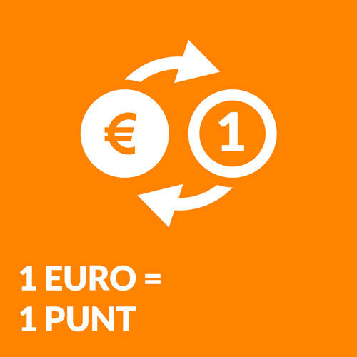 Euro punt