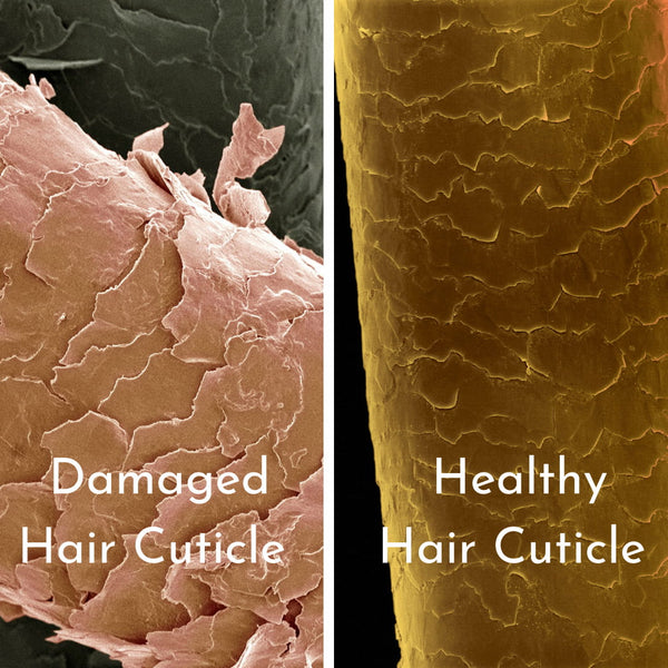 Hair cuticle