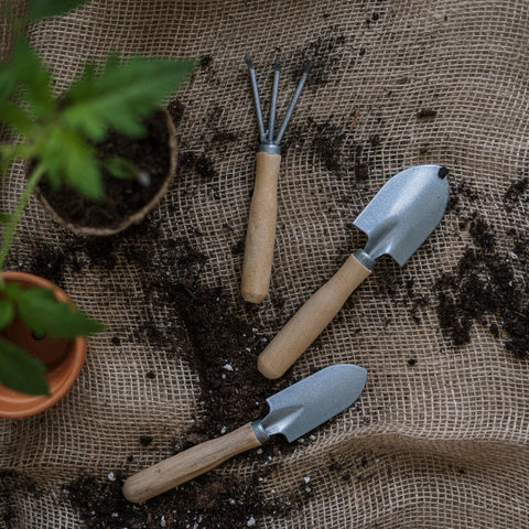 a potting table featuring wooden handled tools a potted plant and scattered soil