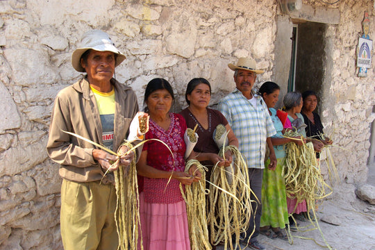 Palm Weavers of Guerrero