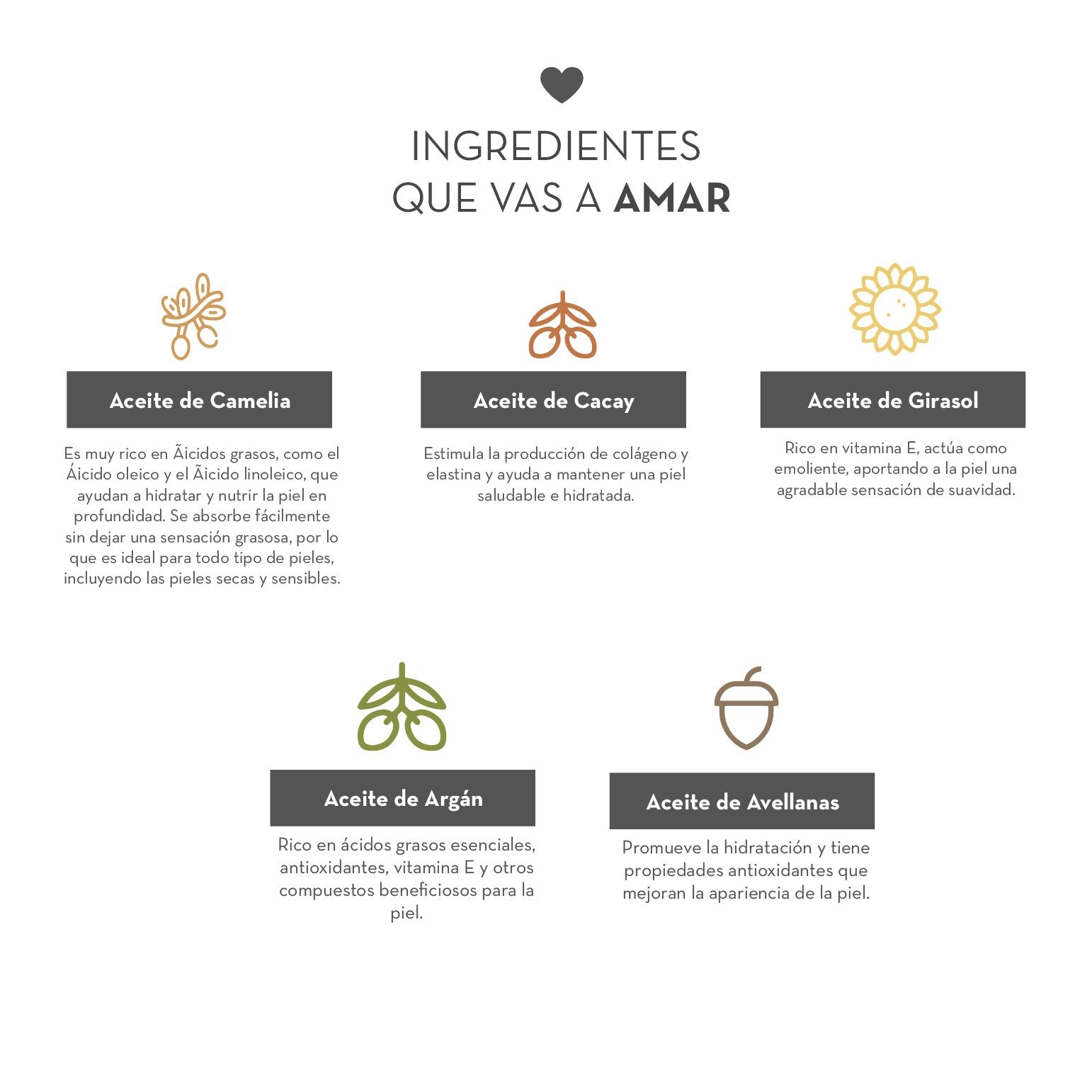 Descripción de la imagen