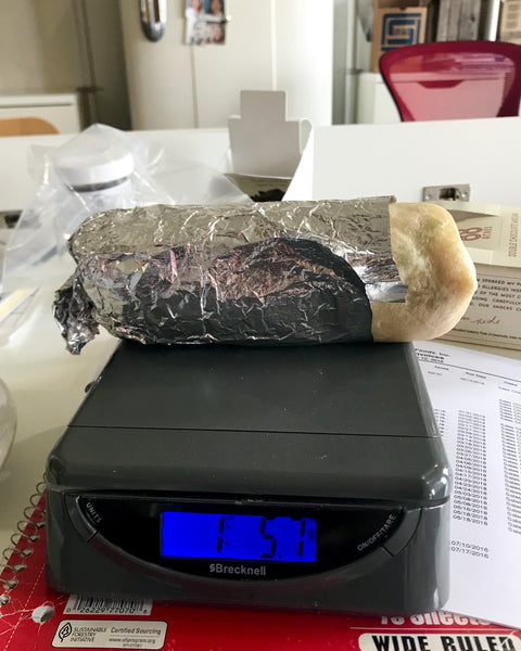 Amelia's burrito on a scale, weighing in at 1.5 pounds