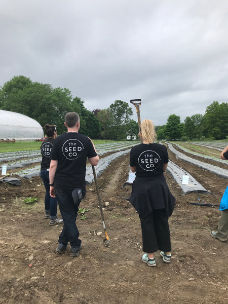 Group standing with weeding hoes, looking out at planting rows that they just finished weeding. 