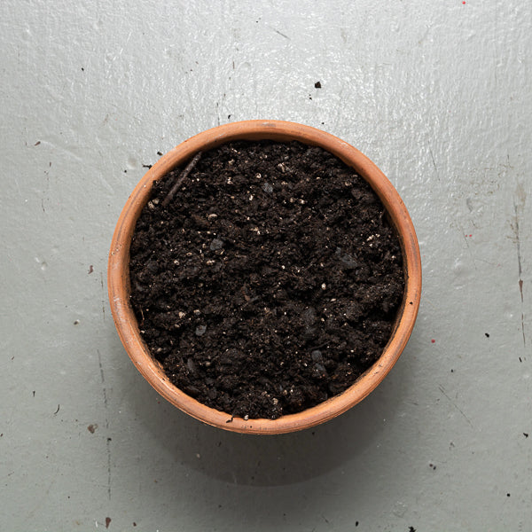 pot filled with soil