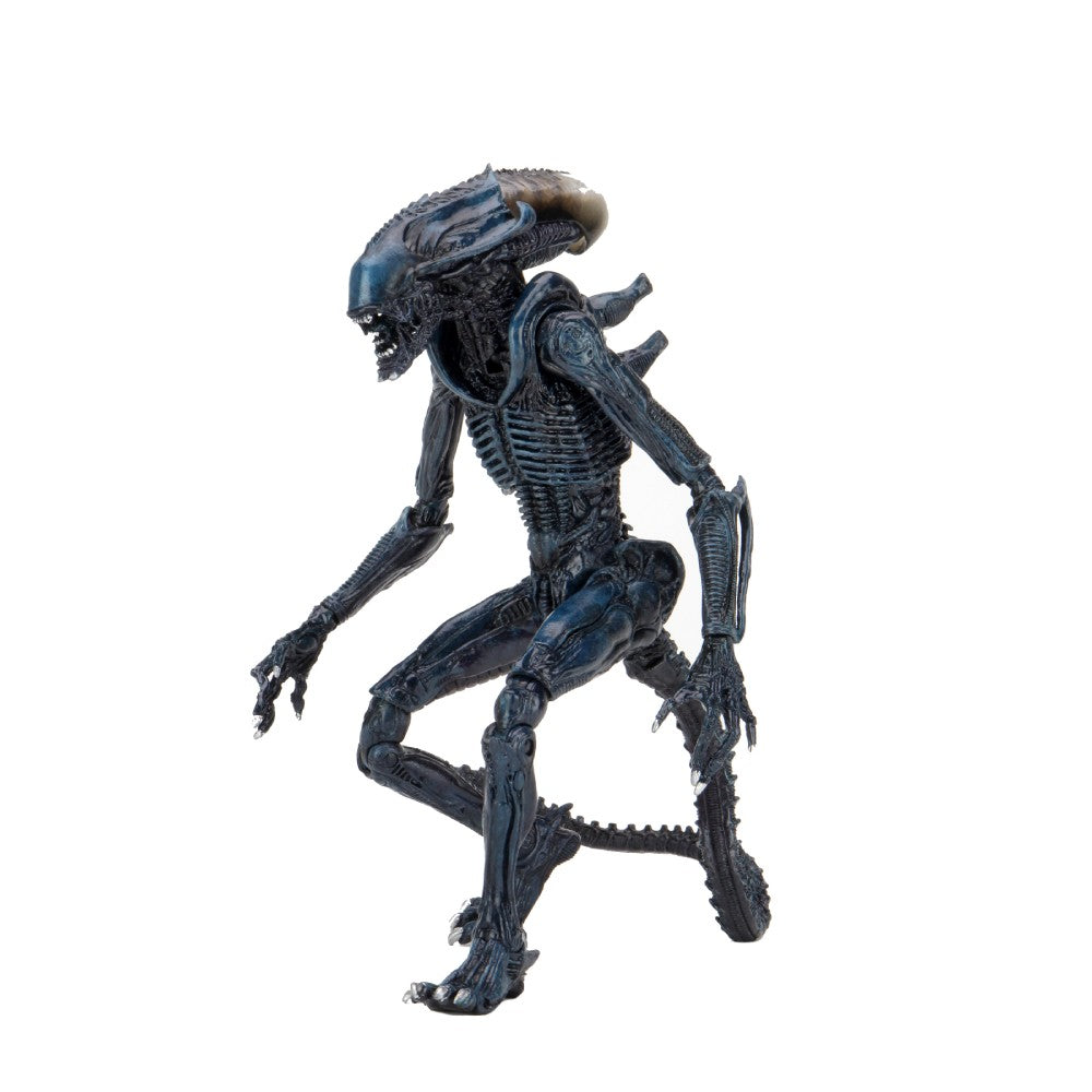 Figurina Articulata Alien vs Predator - 7 inch Scale - Arachnoid Alien (Movie Deco)