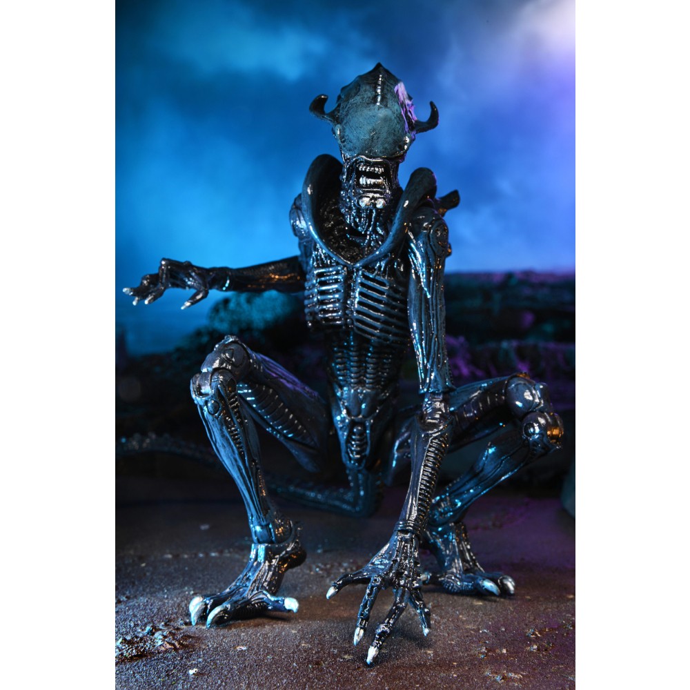 Figurina Articulata Alien vs Predator - 7 inch Scale - Arachnoid Alien (Movie Deco)