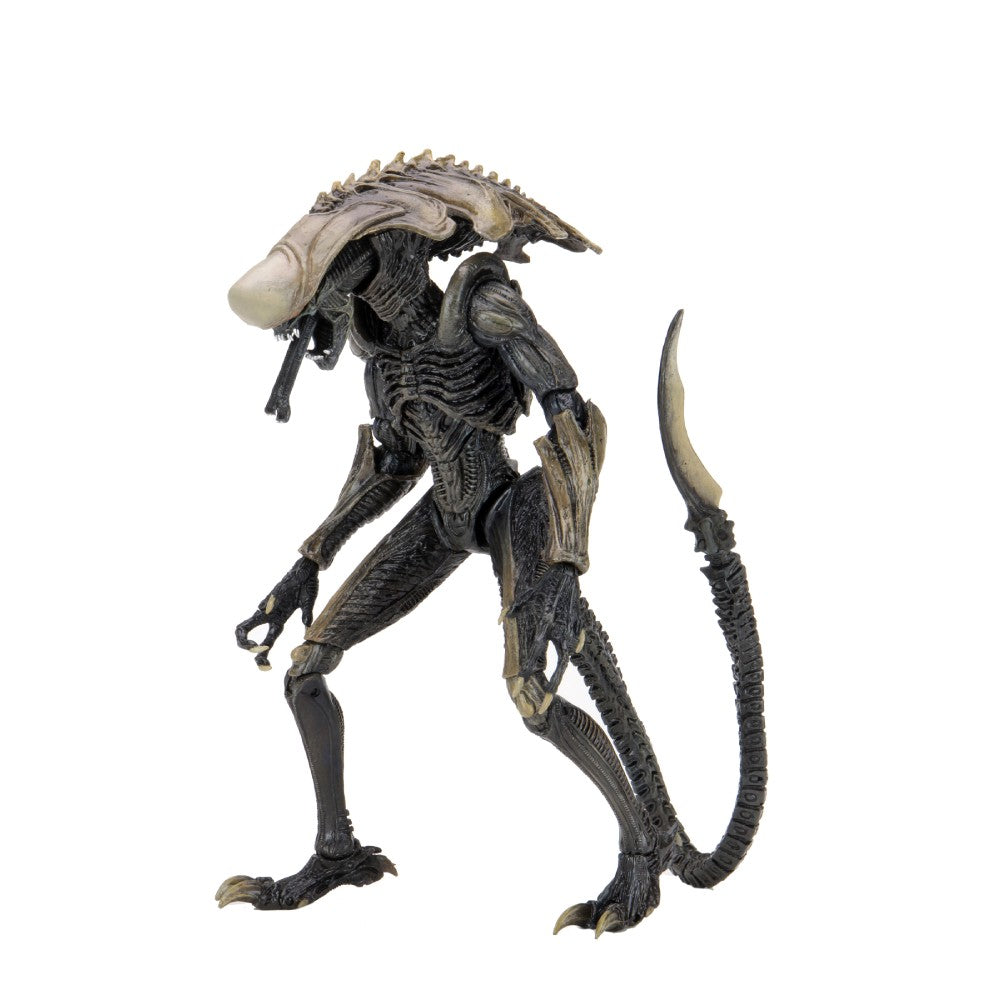 Figurina Articulata Alien vs Predator - 7 inch Scale - Chrysalis Alien (Movie Deco)