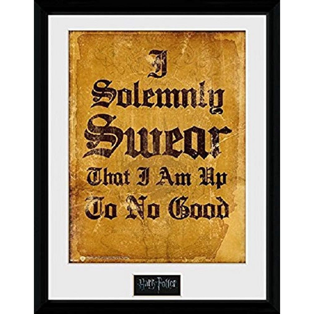 Poster cu Rama Harry Potter - I Solemnly Swear (30x40)
