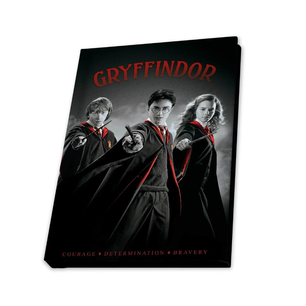 Set Cadou Harry Potter - Cana 320ml + Breloc + Notebook Harry Ron Hermione