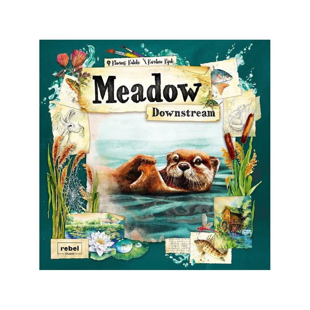 Meadow - Downstream