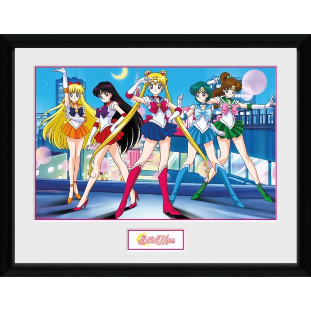 Poster cu Rama Sailor Moon - Group (30x40)