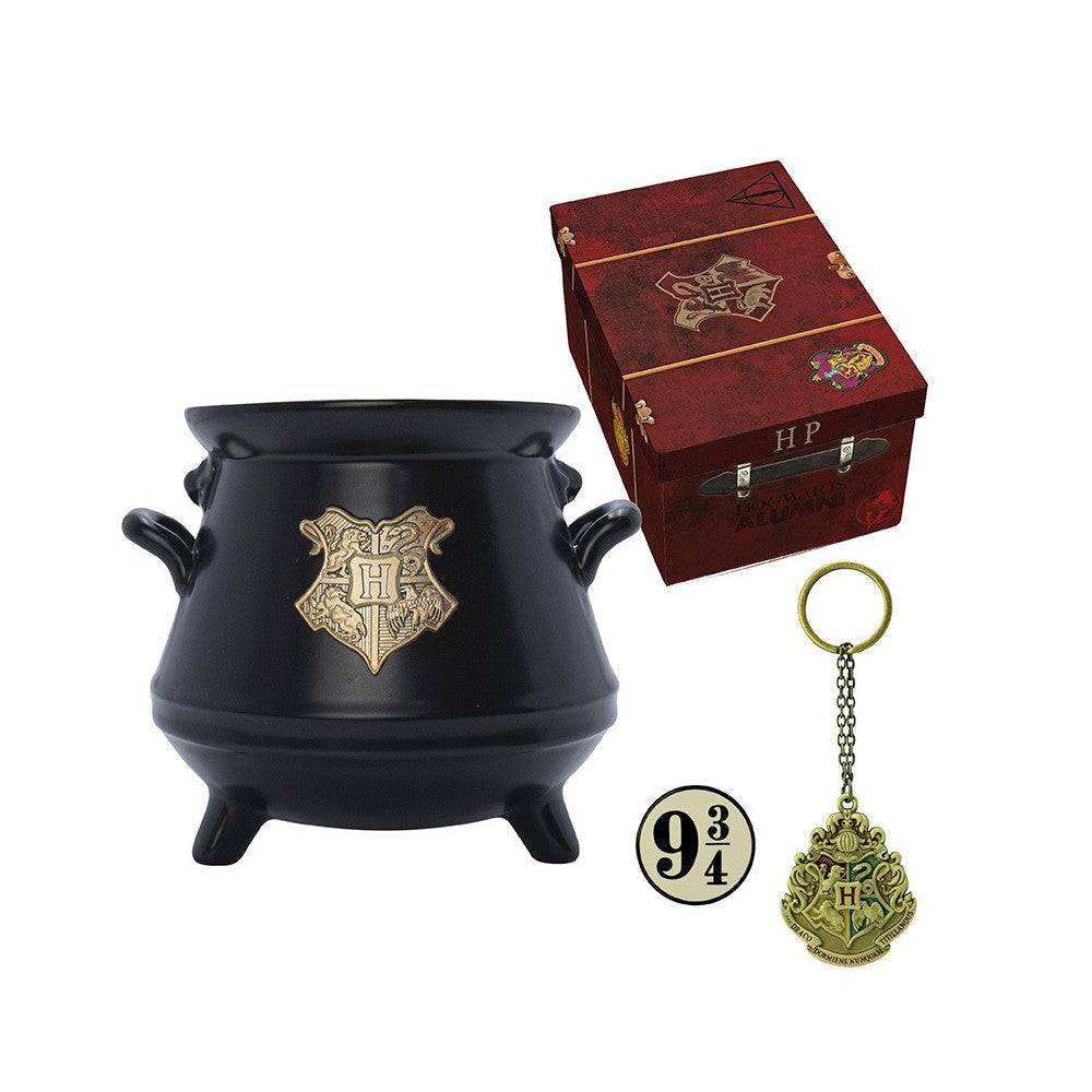 Set Cadou Harry Potter - Cana Premium 3D + Breloc 3D + Insigna Hogwarts Suitcase