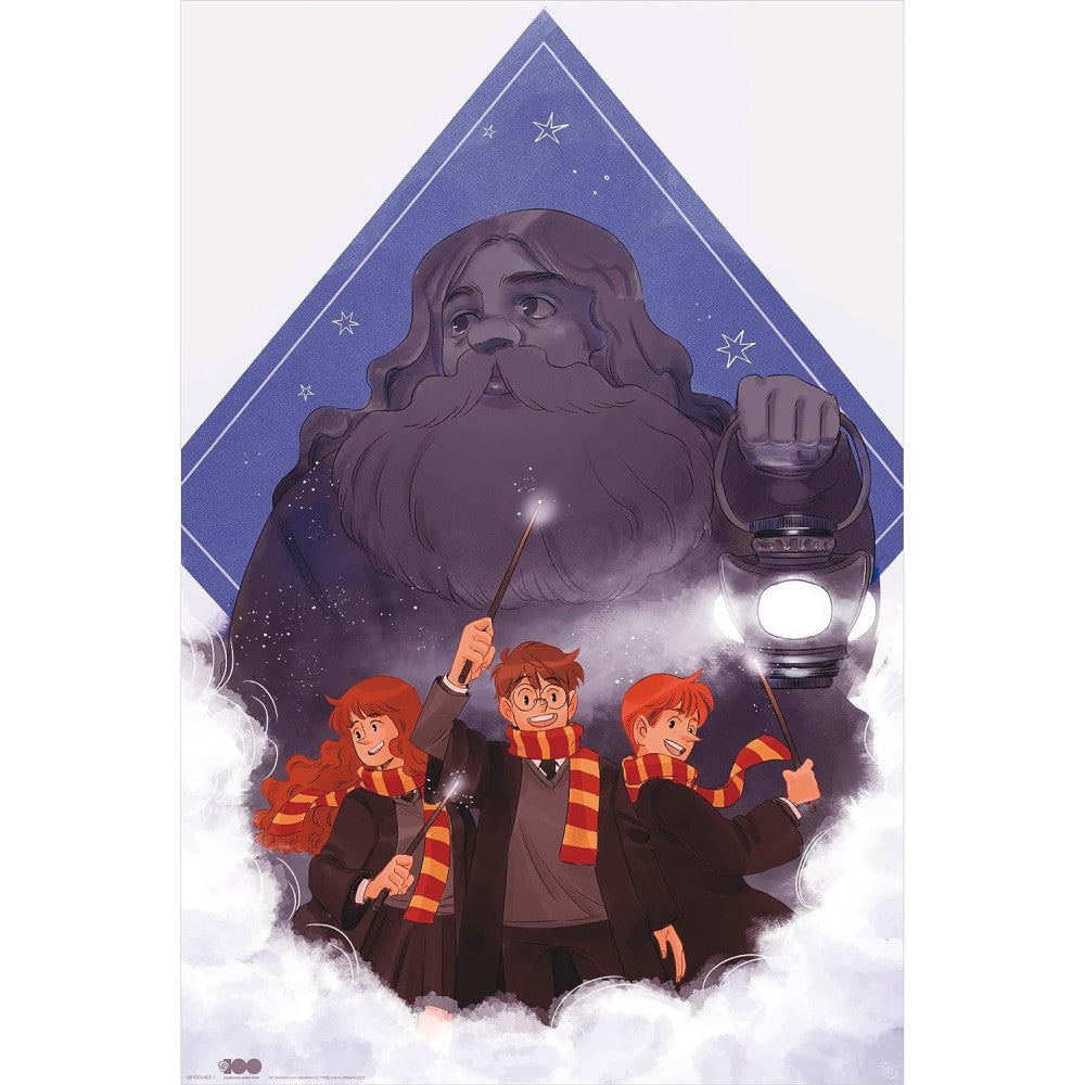 Poster Maxi Harry Potter - 91.5x61 - Hagrid - Warner 100th
