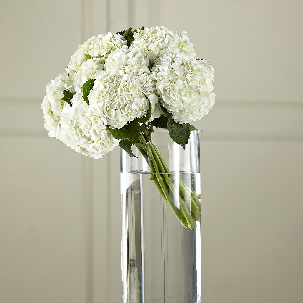 White Hydrangea Hand-Tied Bouquet - Lilys Floral Design  Gifts product image