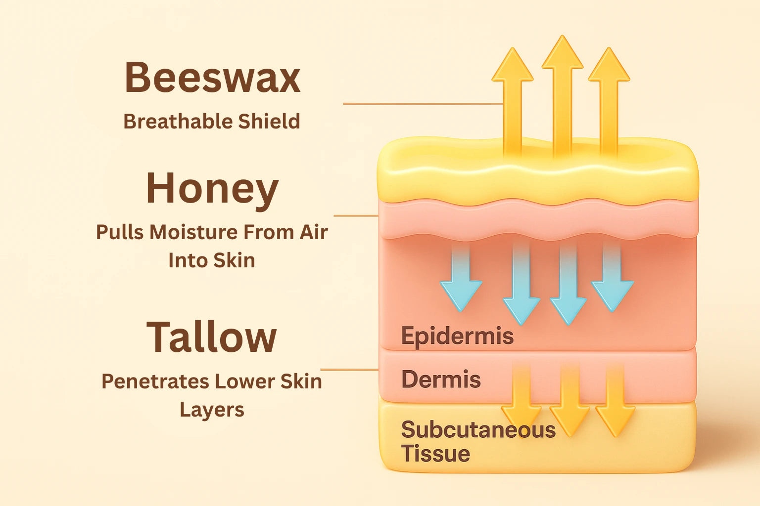 4 webp.webp__PID:25c0f11d-395f-4fb0-ba62-559c23fe384d