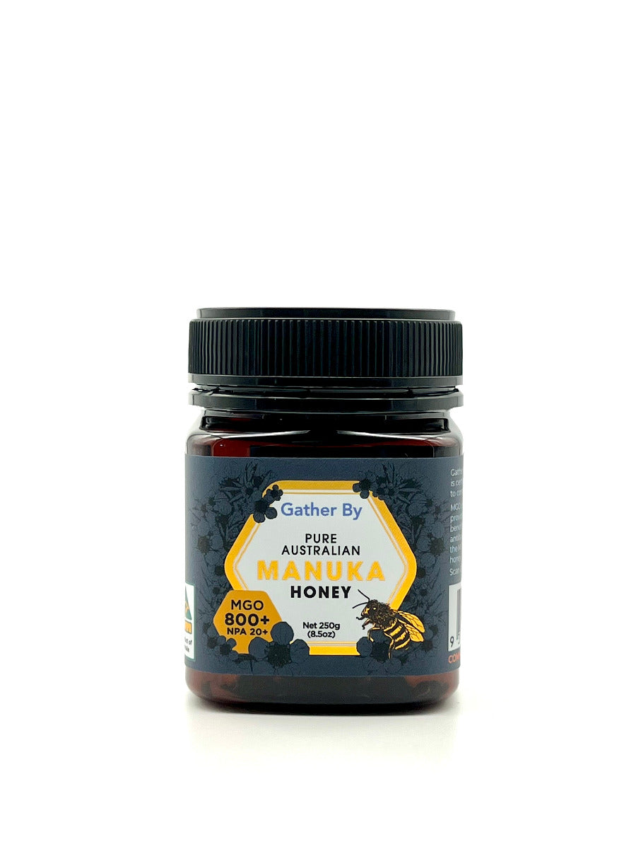 Gather By Manuka Honey 800 MGO 250g