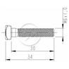 Kit 250 Parafuso Terminal Bateria M6-1,0x30/34 CH10 - (2)