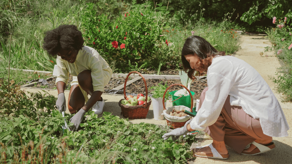 Women in Community Garden