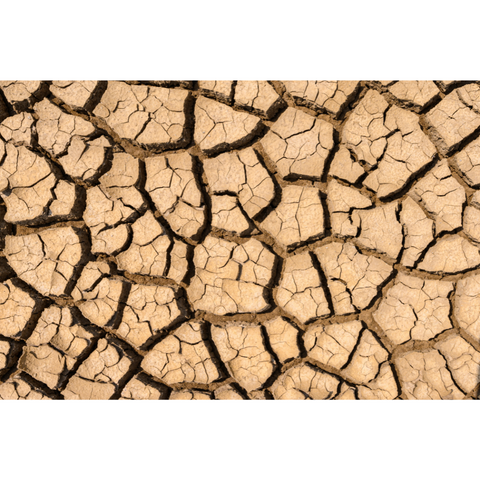 Earth cracked from extreme heat and drought