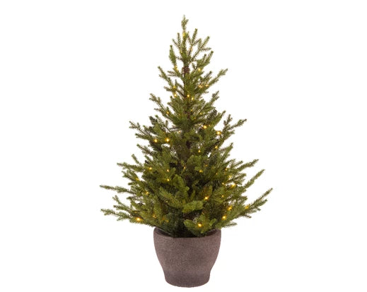 3' Norway Potted Tree