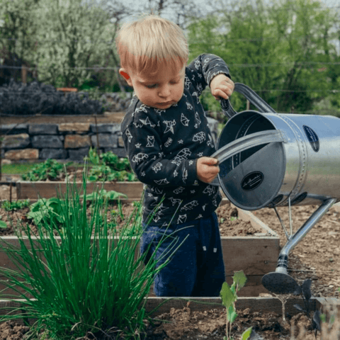 planes para primavera verano