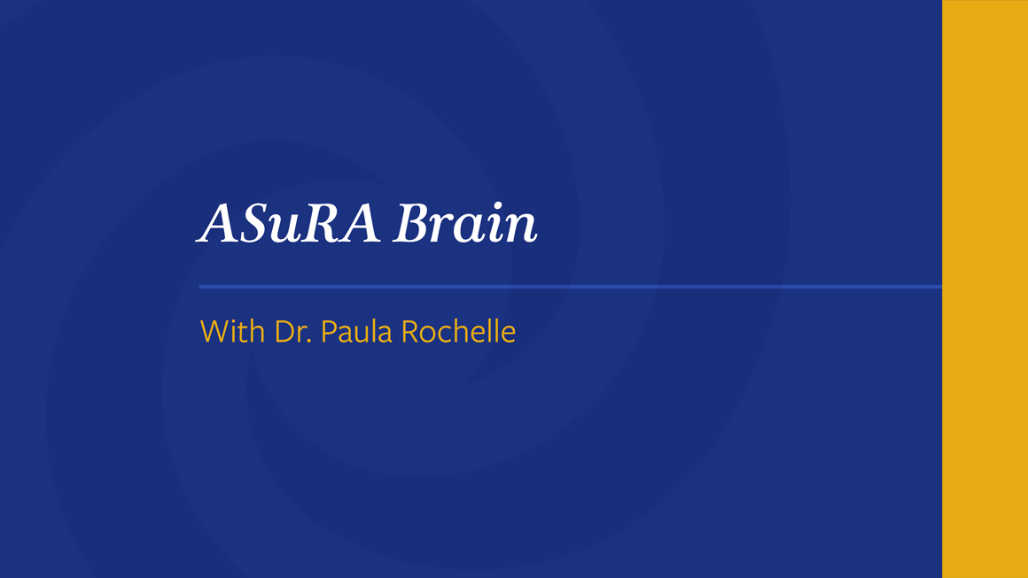 ASuRA-Brain