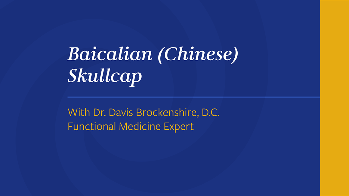 Baicalian-_Chinese_-Skullcap