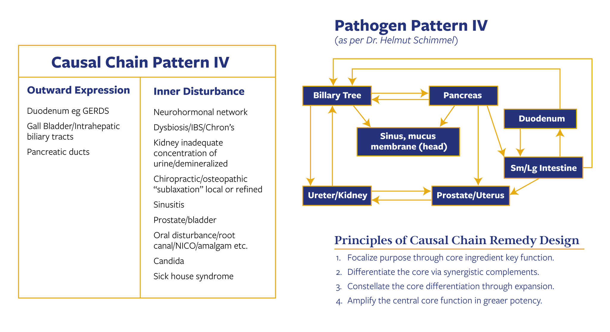 Causal-Chain-Pathogenic-Patterns-Design-Factors2