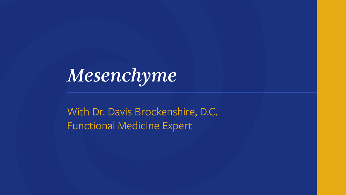 Mesenchyme-front-graphic-Blue