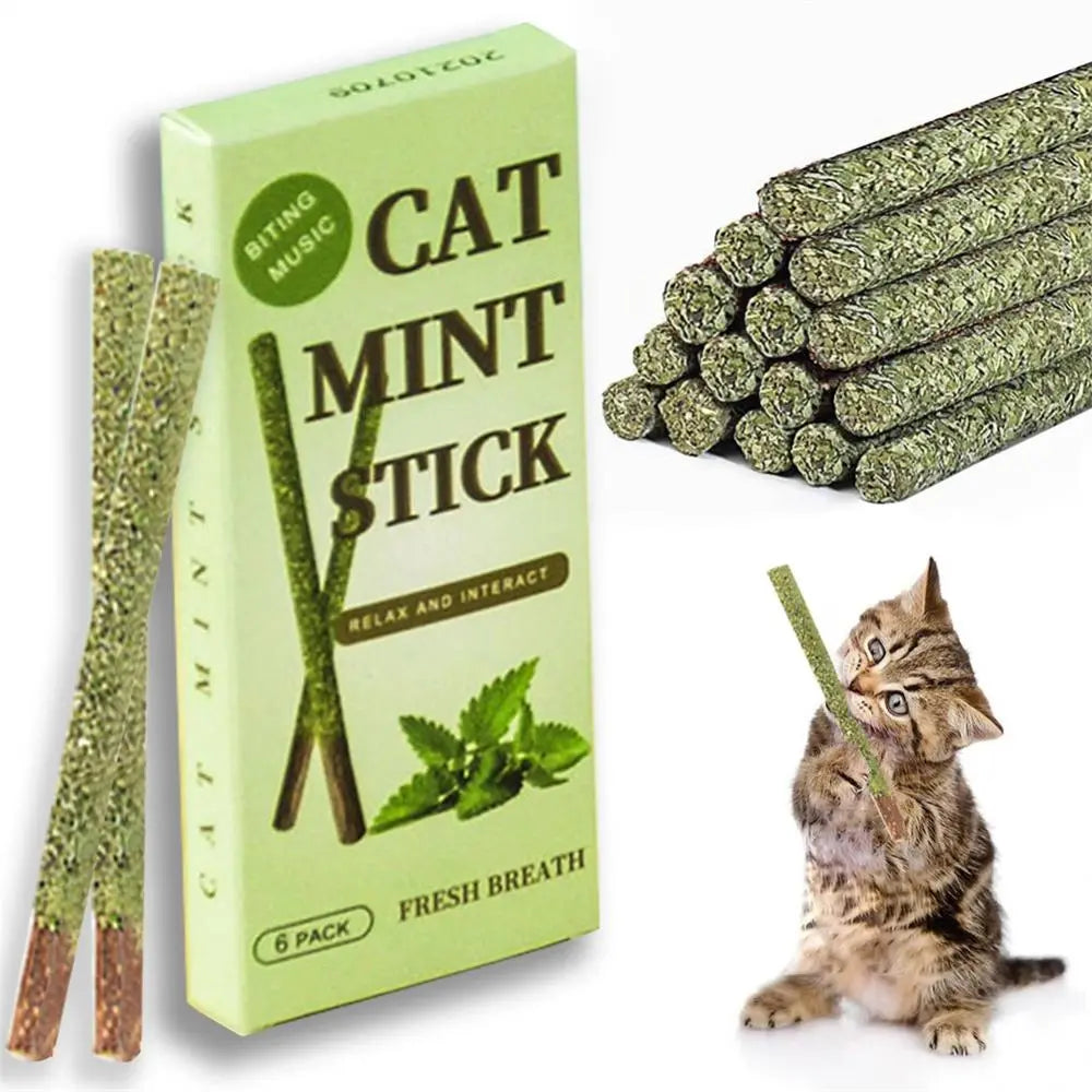 6 Sticks/box Cat Chews Products All Natural Catnip Sticks Wood Tengo Free Shipping
